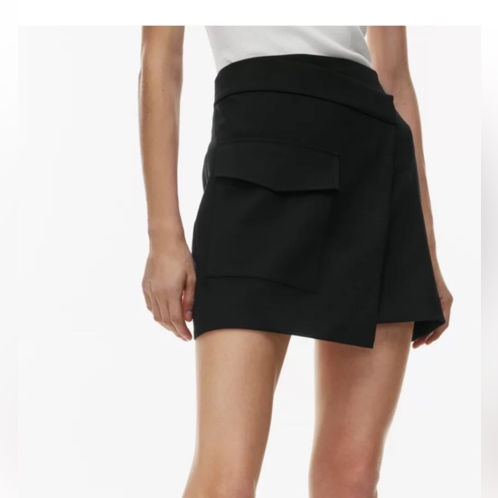 Aritzia Babaton Happy Hour Skirt